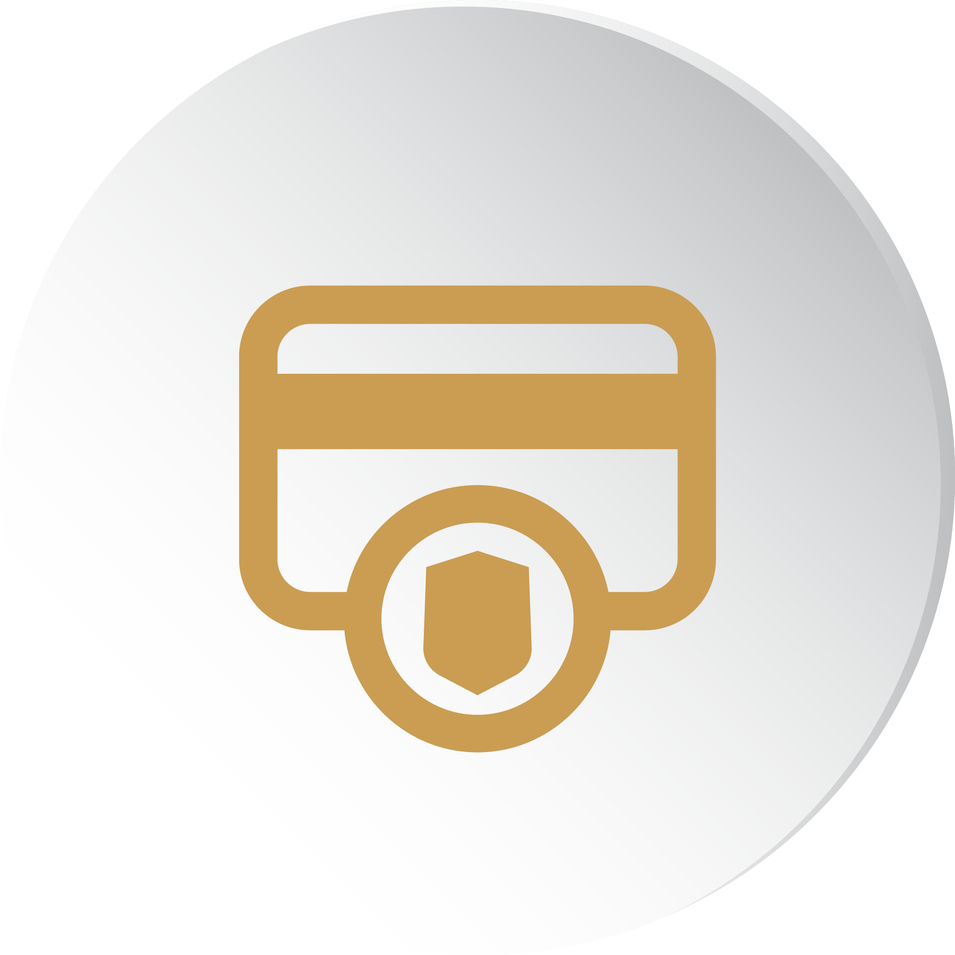Payment Gateway Icon