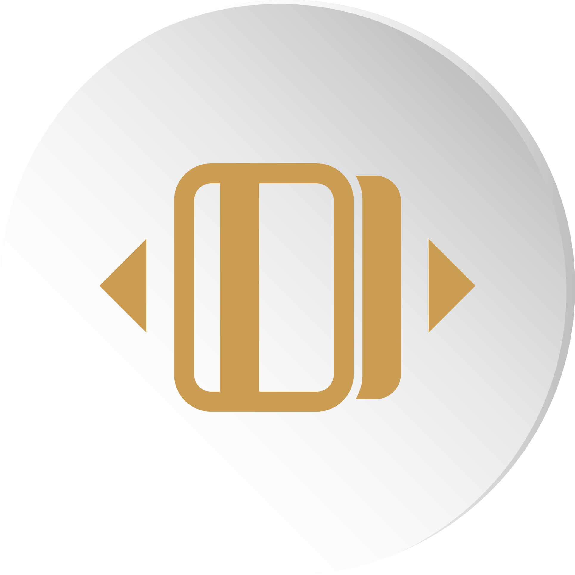 Real Time Payments Icon
